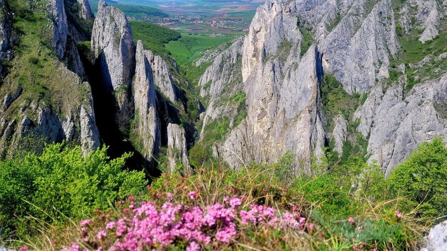 From Cluj: Turda Salt Mine, Gorge, and Remetea Full-Day Trip - Tudor’s guiding style and the small-group advantage