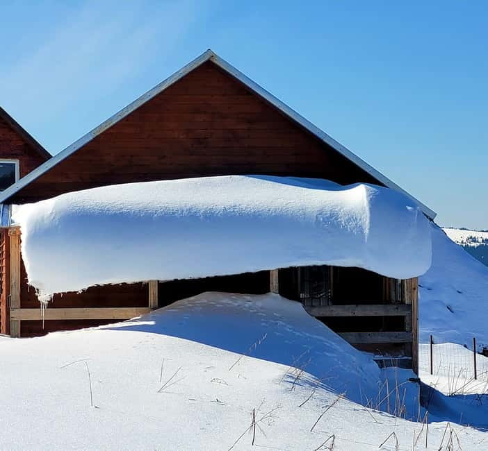 From Cluj: Winter Walking Trip on the Great Mountain - What makes the guide important