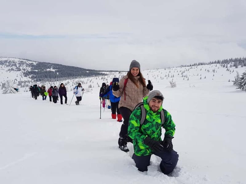 From Cluj: Winter Walking Trip on the Great Mountain - Is $115 a fair price?