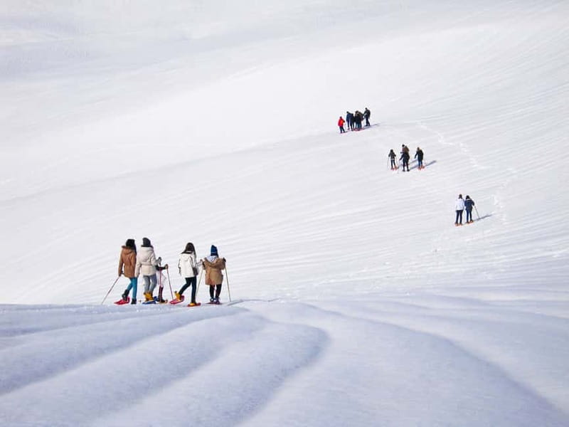 From Cluj: Winter Walking Trip on the Great Mountain - Fitting snowshoes over your hiking boots