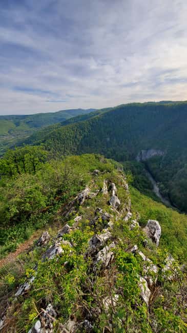 From Oradea: Gorges of Crisul Repede River - Caves, citadels, and optional stops
