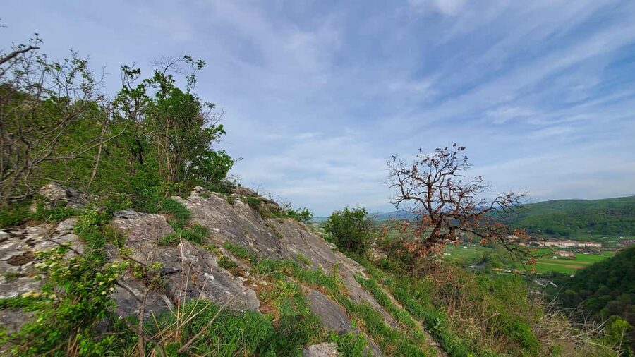 From Oradea: Gorges of Crisul Repede River - Is $69 a fair price from Oradea?