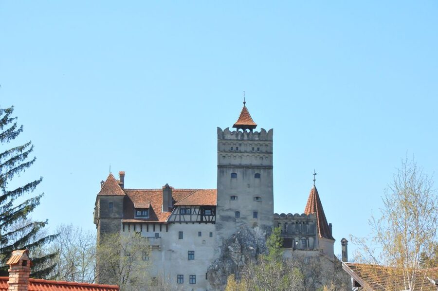 From Sibiu: Day Tour to Brasov and Dracula's Castle - Key points to know before booking