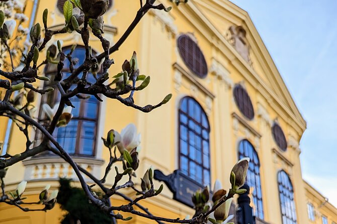 Half-Day Private Food and Wine Walking Tour Oradea Romania - Starting at Oradea Taverna with five appetizers
