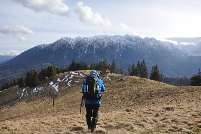 Hike in the Wild Private Photo Tour - Why This Hike Feels Different From a Standard Brasov Day Trip