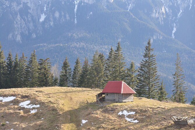 Hike in the Wild Private Photo Tour - From Brasov to the Taga Mountains
