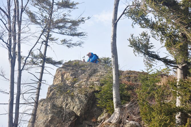 Hike in the Wild Private Photo Tour - The Carpathian Viewpoint