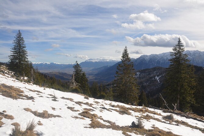 Hike in the Wild Private Photo Tour - Is the $115.19 Price Good Value?