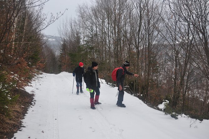 Hike in the Wild Private Photo Tour - Practical Preparation for a 17-Kilometer Day