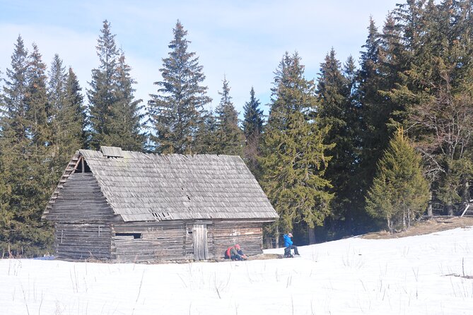 Hike in the Wild Private Photo Tour - Seven Hours Among Forests and Meadows