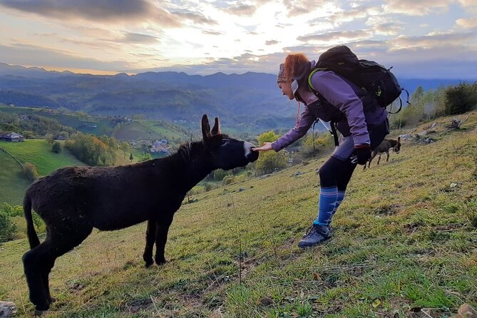Hiking thought the best mountain villages in Romania-Private tour from Brasov - What private transport and a private guide add