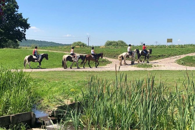 Horseback Riding Tour In Brasov - Ride Through Fields, Forests & Hills - Leaving Brasov for the Ranch