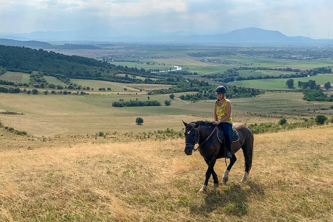 Horseback Riding Tour In Brasov - Ride Through Fields, Forests & Hills - Food, Timing, and What the Price Really Covers
