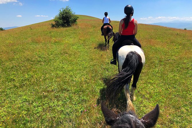 Horseback Riding Tour In Brasov - Ride Through Fields, Forests & Hills - Who Will Enjoy This Ride Most
