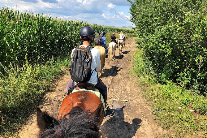 Horseback Riding Tour In Brasov - Ride Through Fields, Forests & Hills - Practical Details for a Smooth Morning