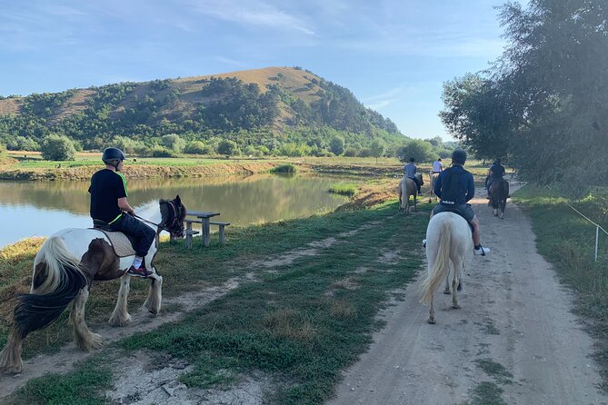 Horseback Riding Tour In Brasov - Ride Through Fields, Forests & Hills - One Hour Through Fields, Hills, and Forest