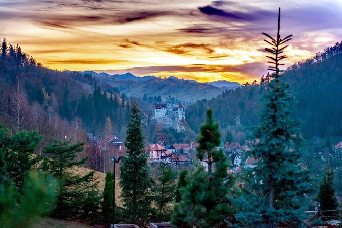 Legends&Wildlife Awaits: Dracula's Castle & Bear Sanctuary - Is $224.76 a fair price?