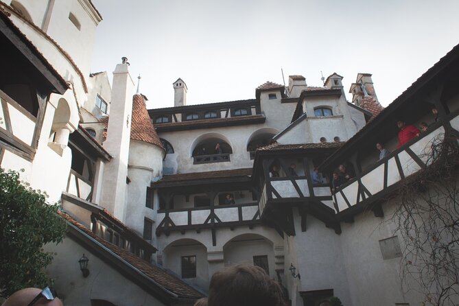 Legends&Wildlife Awaits: Dracula's Castle & Bear Sanctuary - Who will get the most from this day trip?