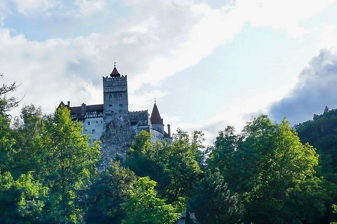 Libearty Bear Sanctuary and Dracula's Castle - Day Tour from Bucharest - Crowds and tickets at Bran Castle