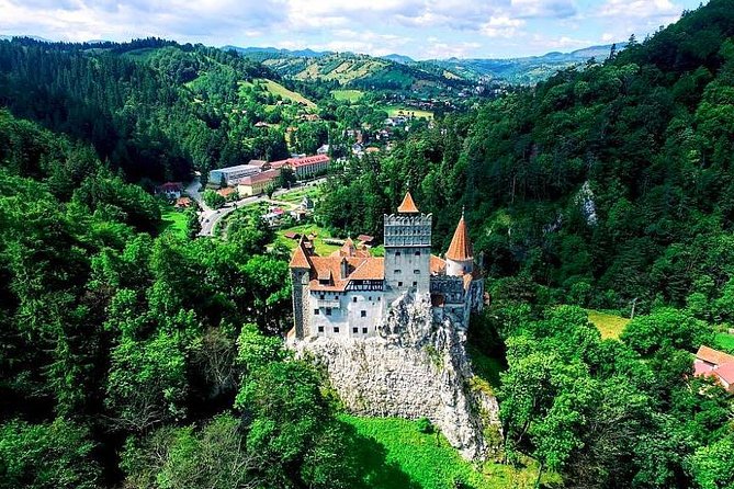 Libearty Bear Sanctuary and Dracula's Castle - Day Tour from Bucharest - Is $187.05 a fair price?