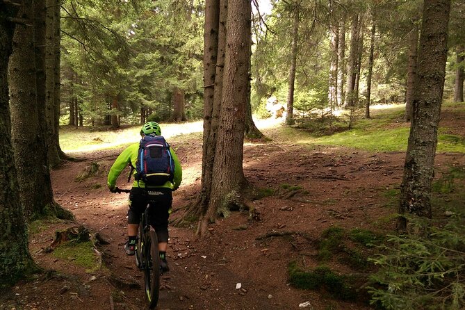 Mountain Bike Day Tour around Brasov - What the 51.14 USD price really covers