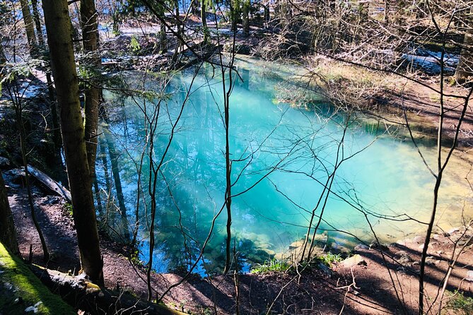 Nera Gorge National Park - Private Day Tour from Timisoara - Beusnita Waterfall changes with the seasons