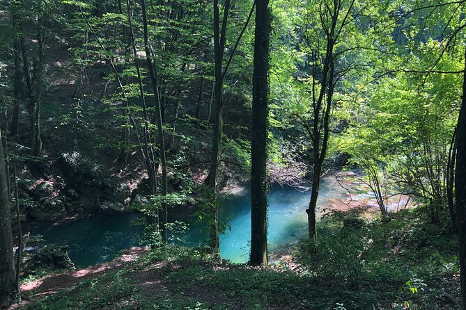 Nera Gorge National Park - Private Day Tour from Timisoara - What the private format adds