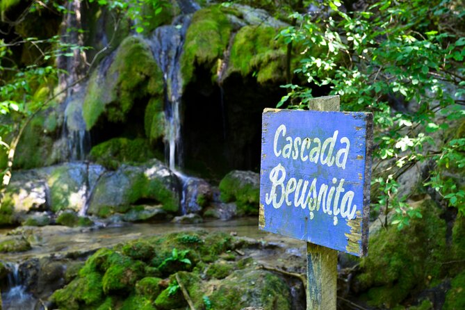 Nera Gorge National Park - Private Day Tour from Timisoara - A short walk to La Vaioaga Waterfall