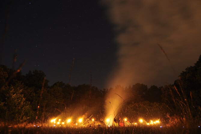 Night Tour in Hoia Baciu Forest - Starting in Cluj and reaching the forest