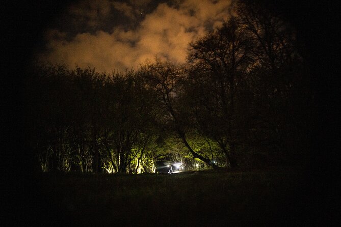 Night Tour in Hoia Baciu Forest - Price, comfort, and practical value