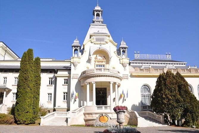 One Day Private Tour to Peles and Dracula Castles & Brasov City - What the private guide adds