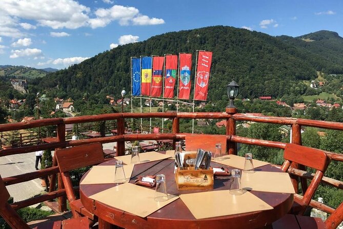 One Day Private Tour to Peles and Dracula Castles & Brasov City - The drive, the vehicle, and the pace