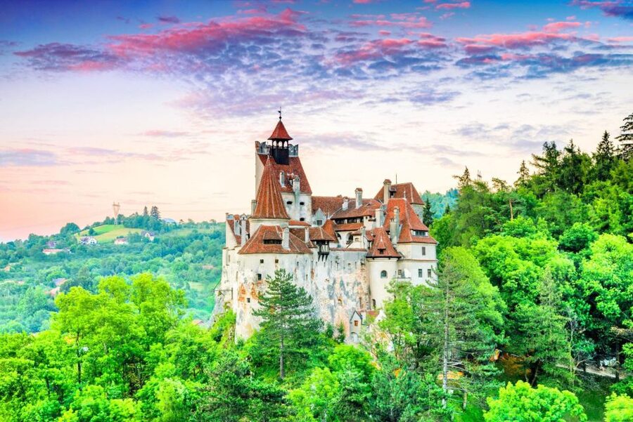 One day trip Bear Sanctuary, Dracula Castle - Key points to know before booking