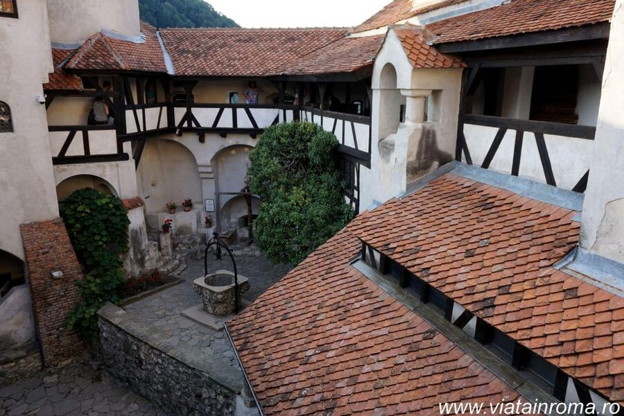 One day trip Bear Sanctuary, Dracula Castle - The guide can make the seven hours easier