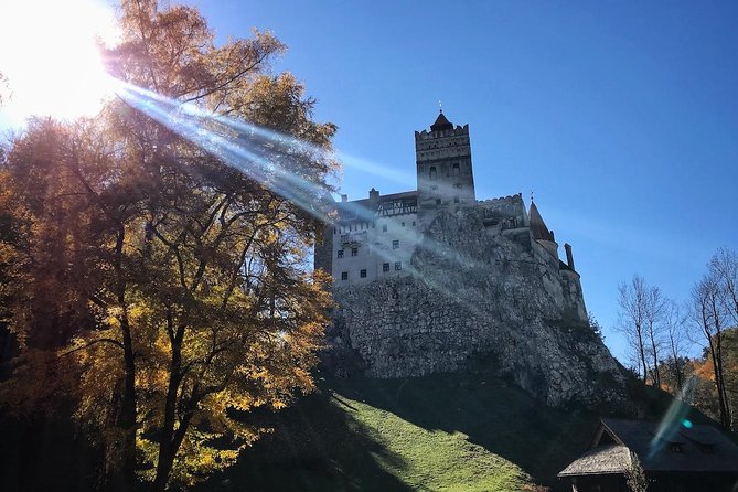 One day trip Bear Sanctuary, Dracula Castle, Rasnov Fortress from Brasov - Transport, group size, and the shape of the day
