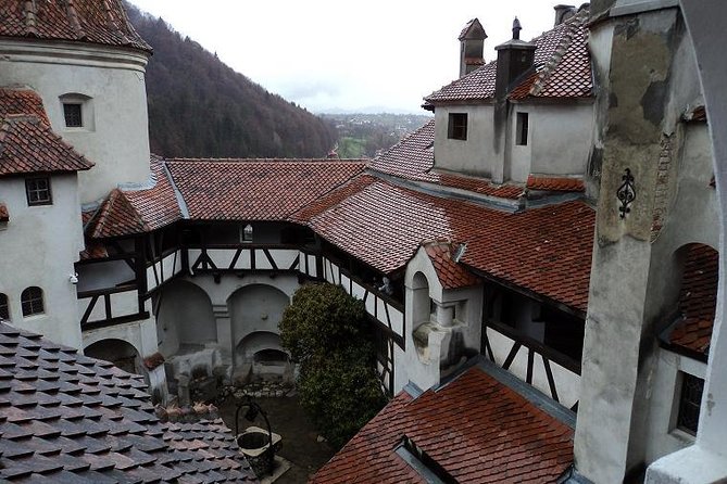 One day trip Bear Sanctuary, Dracula Castle, Rasnov Fortress from Brasov - Is the price good value?