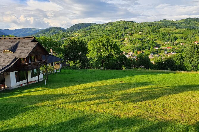 One-Day Vlad the Impaler Royal Court Private Tour from Bucharest - Poienari Castle and the 1,480-step challenge