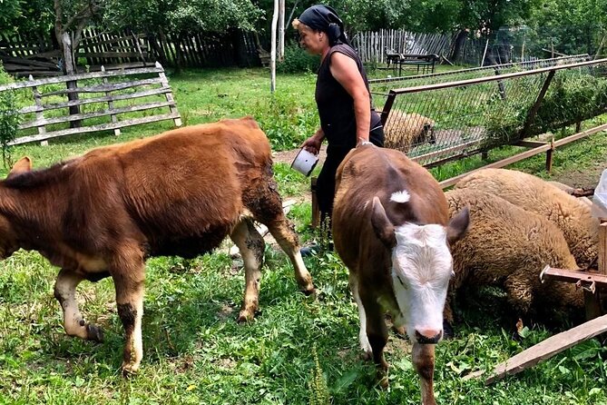 Original Carpathian Village Experience and Sinaia in one day tour - Fortified churches and everyday Transylvanian life