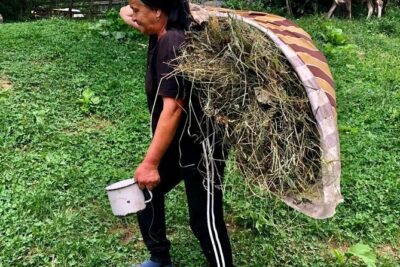 Original Carpathian Village Experience and Sinaia in one day tour