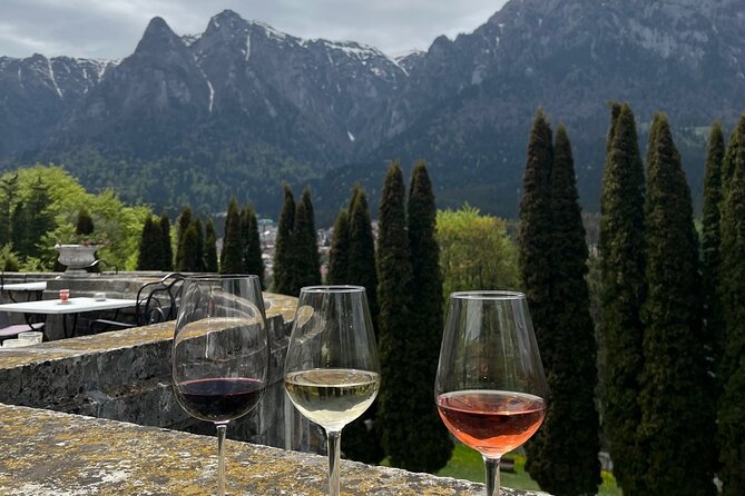 Peles & Cantacuzino Castles: Gourmet Wine & Cultural Day trip - Cantacuzino Castle and the tasting terrace