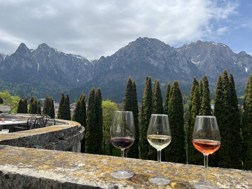Peles & Cantacuzino Castles: Gourmet Wine & Cultural trip - Who will enjoy this experience most