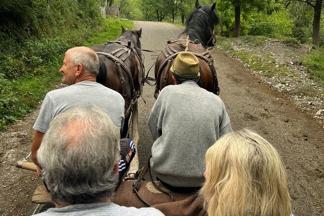 Peles castle and authentic Romanian village experience - day trip - From Bucharest streets to royal Sinaia