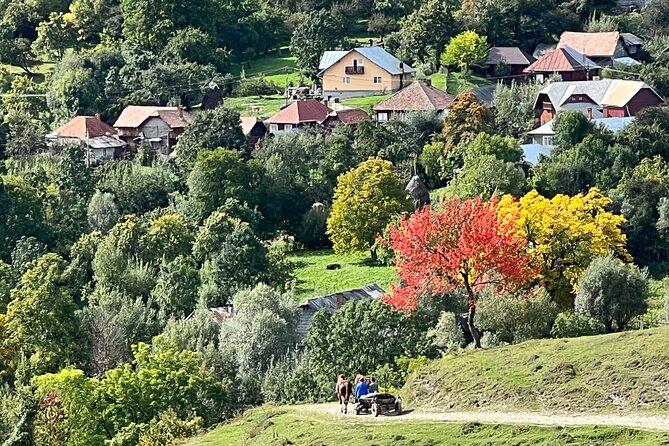 Peles castle and authentic Romanian village experience - day trip - The horse cart ride toward 1,000 meters