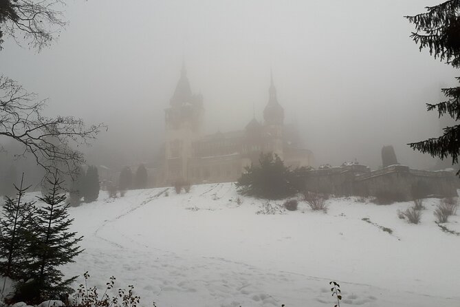 Peles Castle and optional Cantacuzino Castle from Brasov - Pelisor Castle and a different royal style