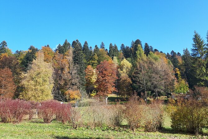 Peles Castle and optional Cantacuzino Castle from Brasov - Cota 1400 and the summer mountain ride