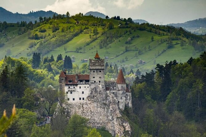 Peles Castle, Bran Castle, Rasnov Fortress and Sinaia Monastery Tour from Brasov - Guides, pacing, and the feel of the day