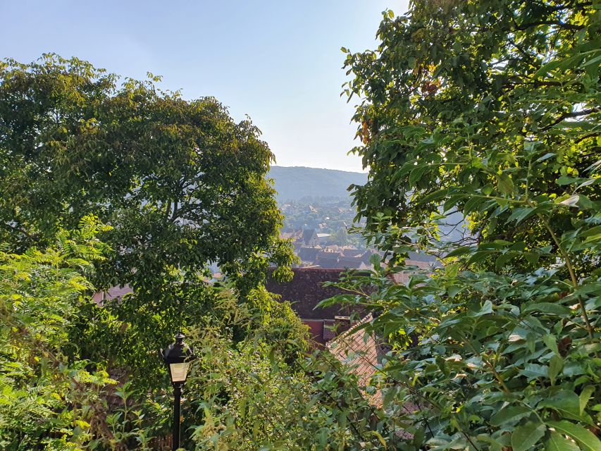 Peleș Castle, Bran Castles and Brasov City - Private Tour - Practical tips for getting the most from the day
