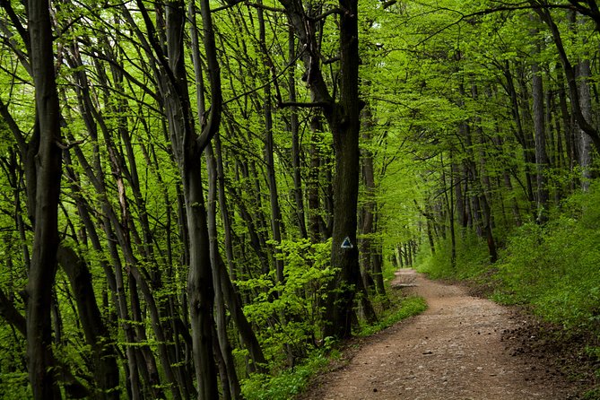 Perfect bike tour around Brasov - Key points to know before booking