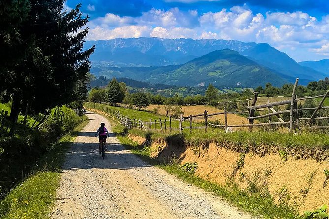 Perfect bike tour around Brasov - Under the old oaks in a protected forest