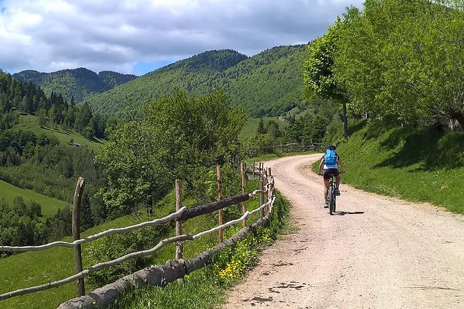 Perfect bike tour around Brasov - Standard bike or e-bike?